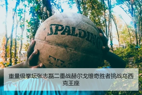 重量级拳坛张志磊二番战赫尔戈维奇胜者挑战乌西克王座